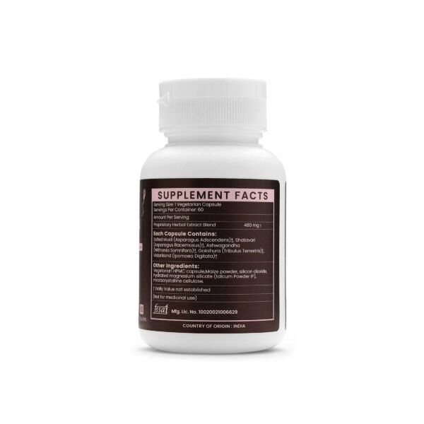 Spertomax Extract Blended Capsules 480mg |  60 Capsules Vegan Pack - Image 4