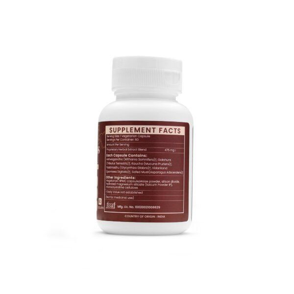 Body Mass Extract Blended Capsules 475mg |  60 Capsules Vegan Pack - Image 3