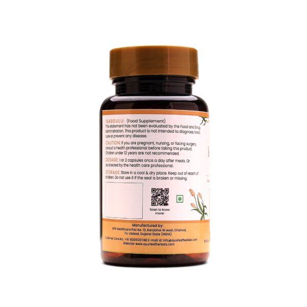 Isapgulu Extract Blended Capsules 400mg |  60 Capsules Vegan Pack - Image 3