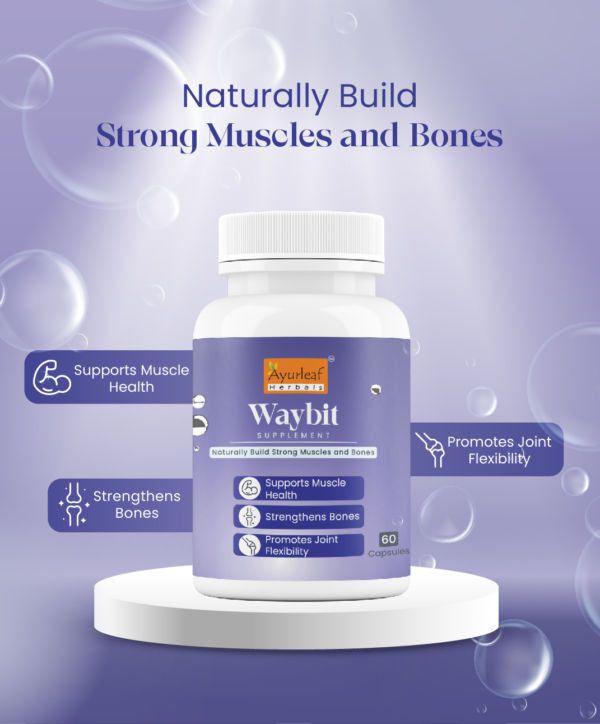 Waybit Extract Blended Capsules 360mg |  60 Capsules Vegan Pack - Image 2