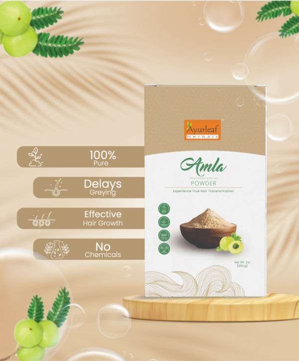 100% Natural Amla Indian Gooseberry Fruit Powder for Hair Growth and skin (200 gms) - Image 2