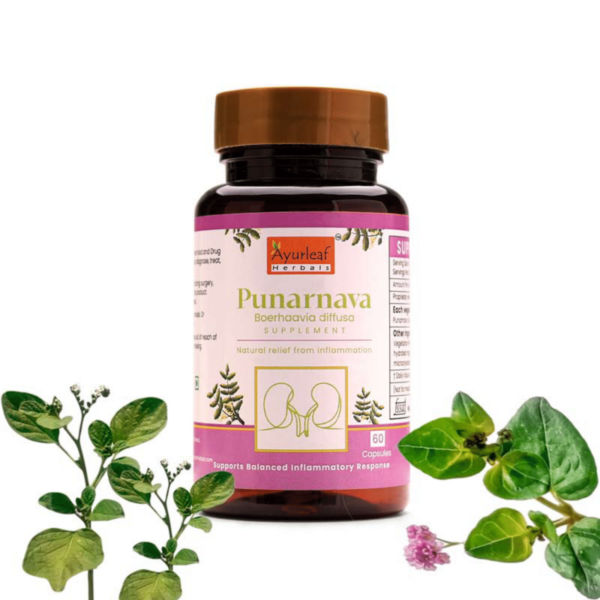 Punarnava Extract Blended Capsules 500mg |  60 Capsules Vegan Pack
