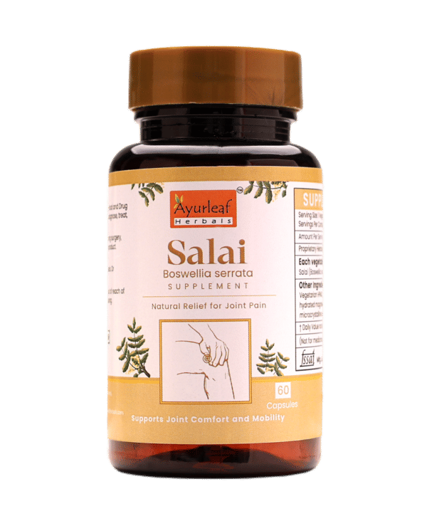 Salai Extract Blended Capsules 375 mg |  60 Capsules Vegan Pack - Image 2