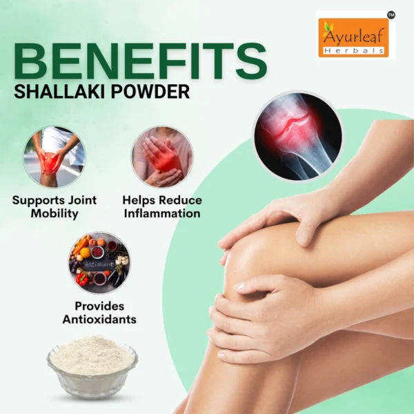 100% natural and pure Shallaki Powder for relieving Joints and bone pain also helps lower muscle stiffness-(200 gms) - Image 10