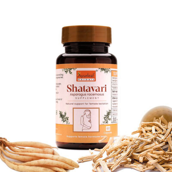 Shatavari Extract Blended Capsules 500mg |  60 Capsules Vegan Pack