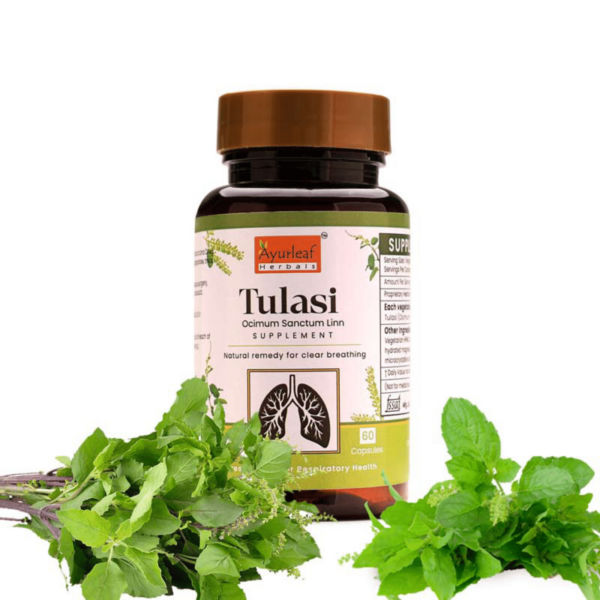 Tulasi Extract Blended Capsules 500mg |  60 Capsules Vegan Pack