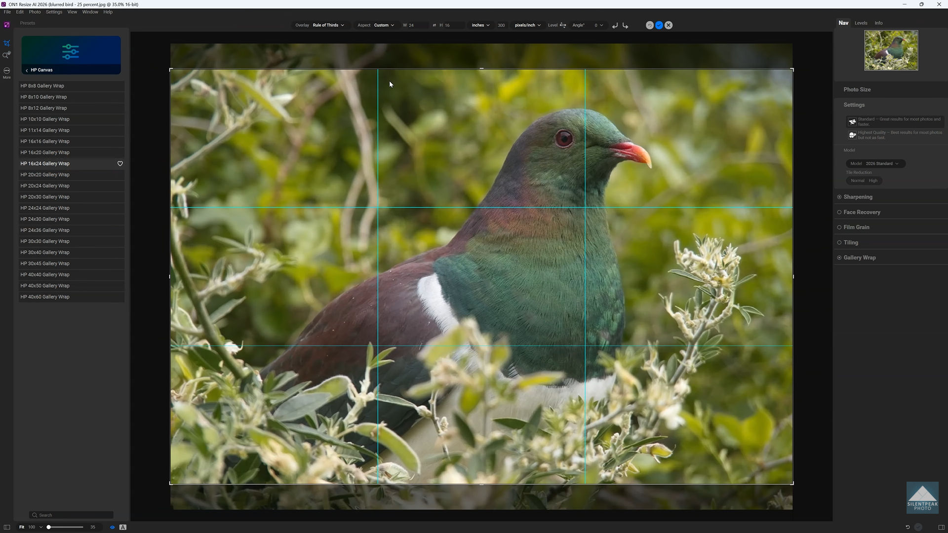 Working with ON1 Resize AI 2026.2 v20.2.0.17850 full license Working with ON1 Resize AI 2026.2 v20.2.0.17850 full license