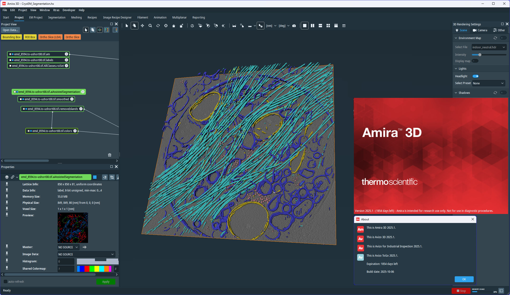 Working with Thermo Fisher Scientific Amira-Avizo 2025.1 full