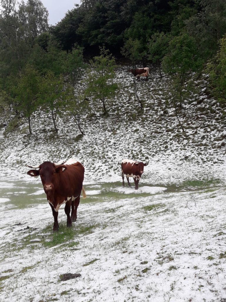 Hagel St. Johann im Pongau