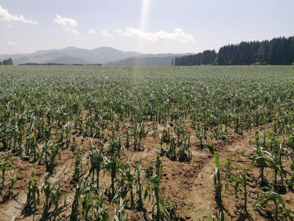 Hagel in Weißenkirchen (STMK) am 24.06.2021