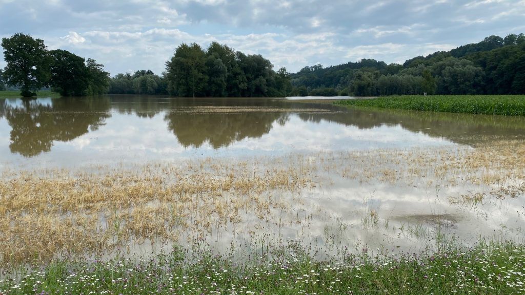 überschwemmte Agrarfläche in Ardagger (NÖ)