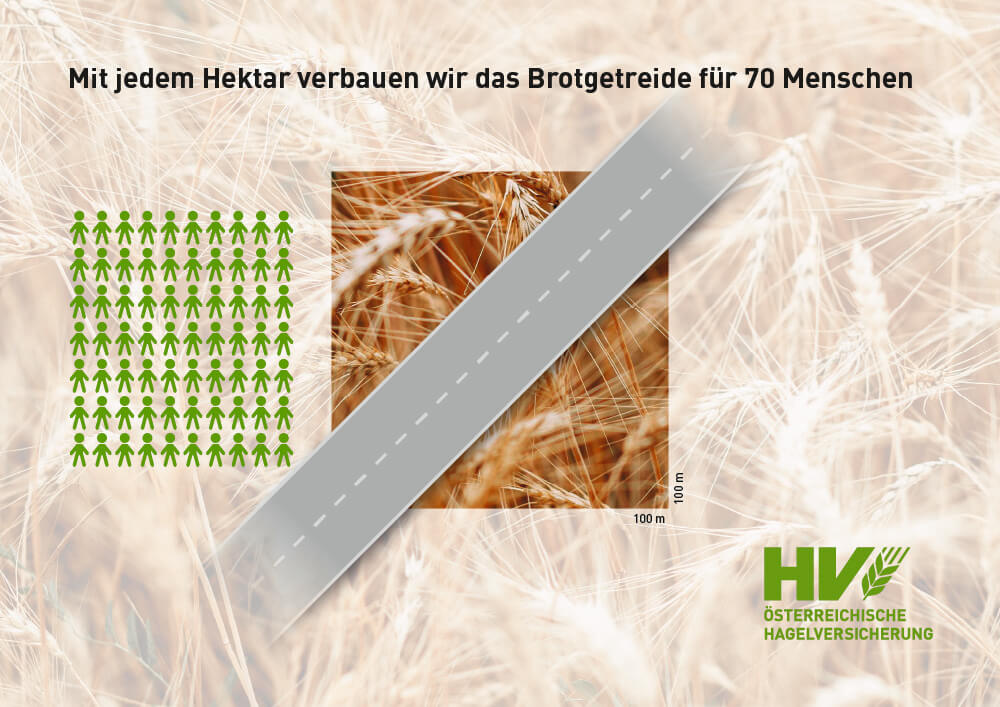 Mit jedem Hektar verbauen wir das Brotgetreide für 70 Menschen