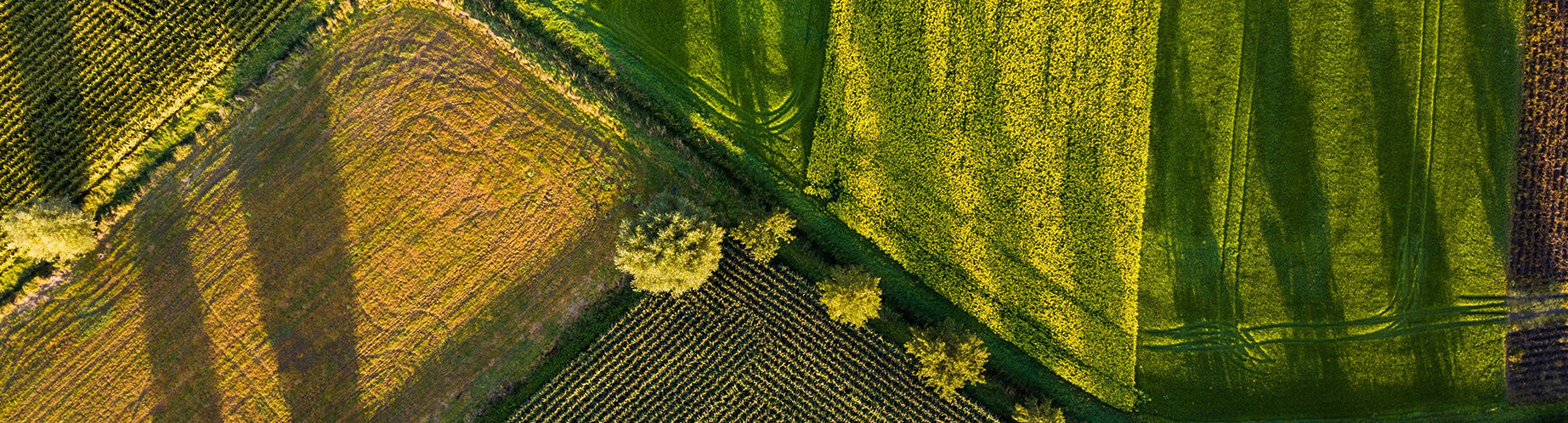 Landschaft von oben (c) unsplash