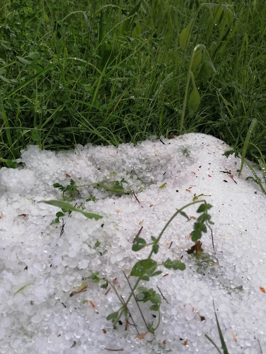 Hagel an Grünland in Völkermarkt (c) ÖHV