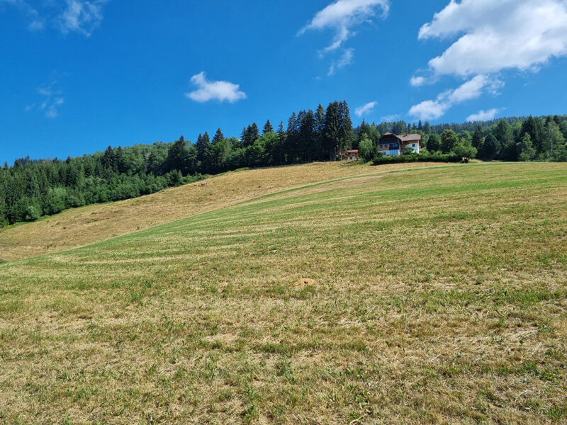 Dürreschäden bei Grünland in Kärnten