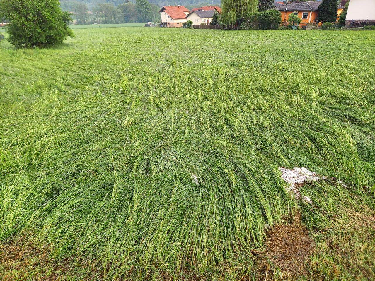 Geschädigtes Grünland in der Steiermark (Österreichische Hagelversicherung)