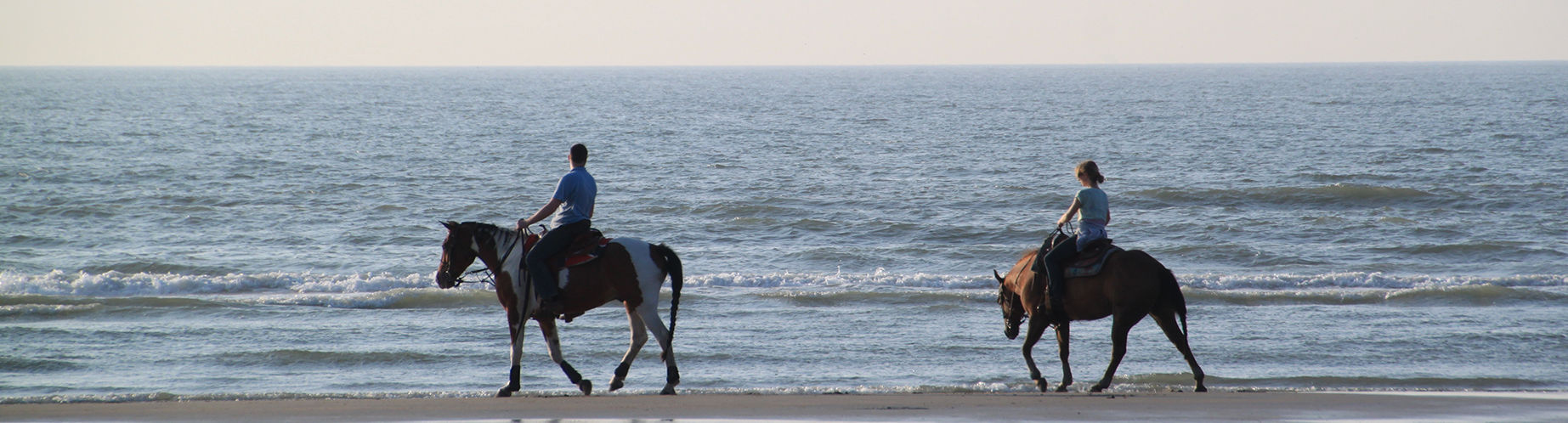 REITURLAUB REITERFERIEN FINDEN UND BUCHEN visual data 7