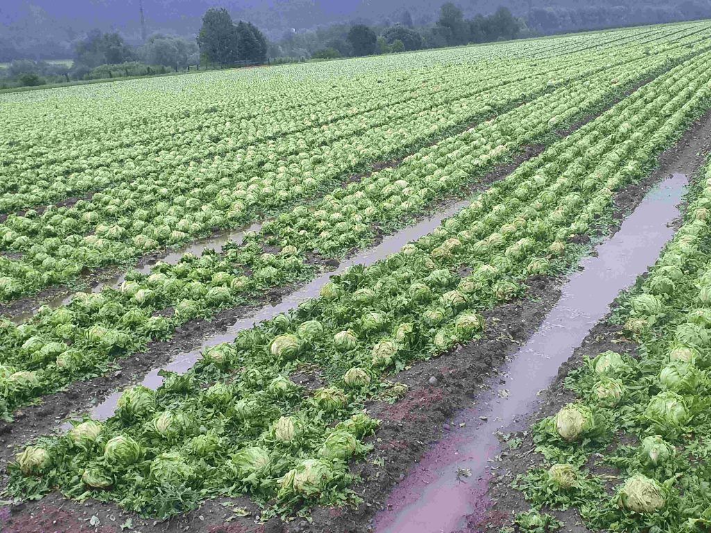 Hagel Eissalat Inzing Tirol 20250626