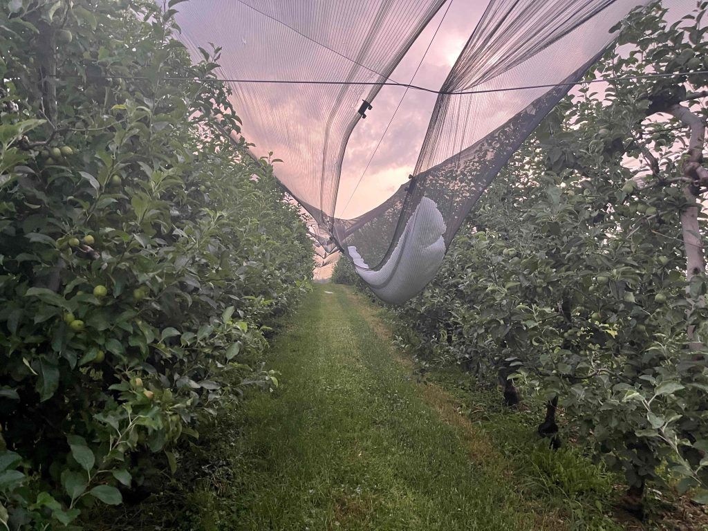 Hagel Obst Netz Prebuch Stmk 20250626