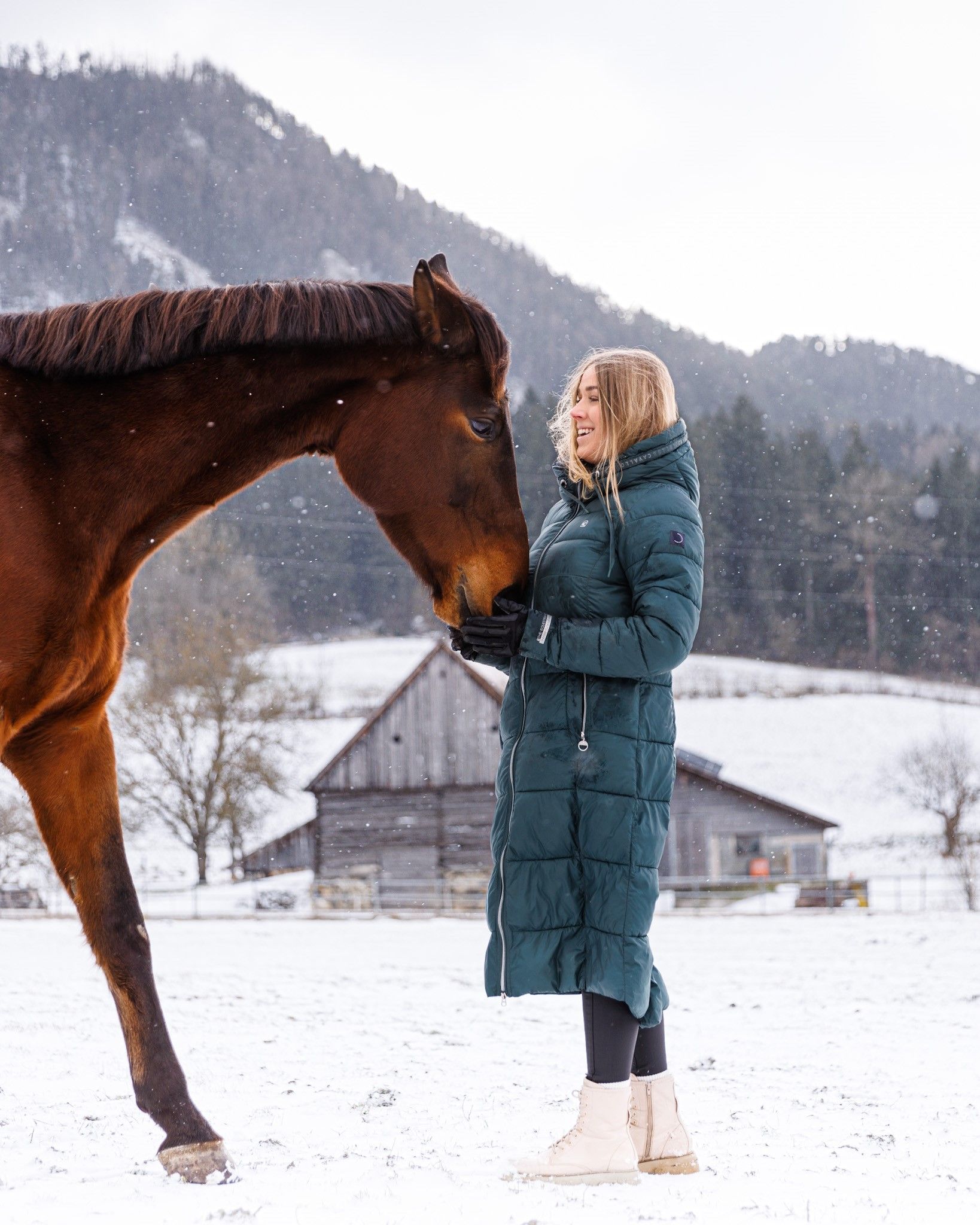 "Mein noch sehr junger und riesengroßer Wallach Lamprasco und ich im letzten Winter. Dieser junge Herr ist seit 5 Jahren an meiner Seite, ich kenne ihn schon seit seiner Geburt. Die Verbindung, die dieses Pferd zu mir hat, habe ich so noch nie wahrnehmen dürfen, was die Situation für mich noch besonderer macht. Seit er in meinem Besitz ist, wird er durch die Hagelversicherung versichert."