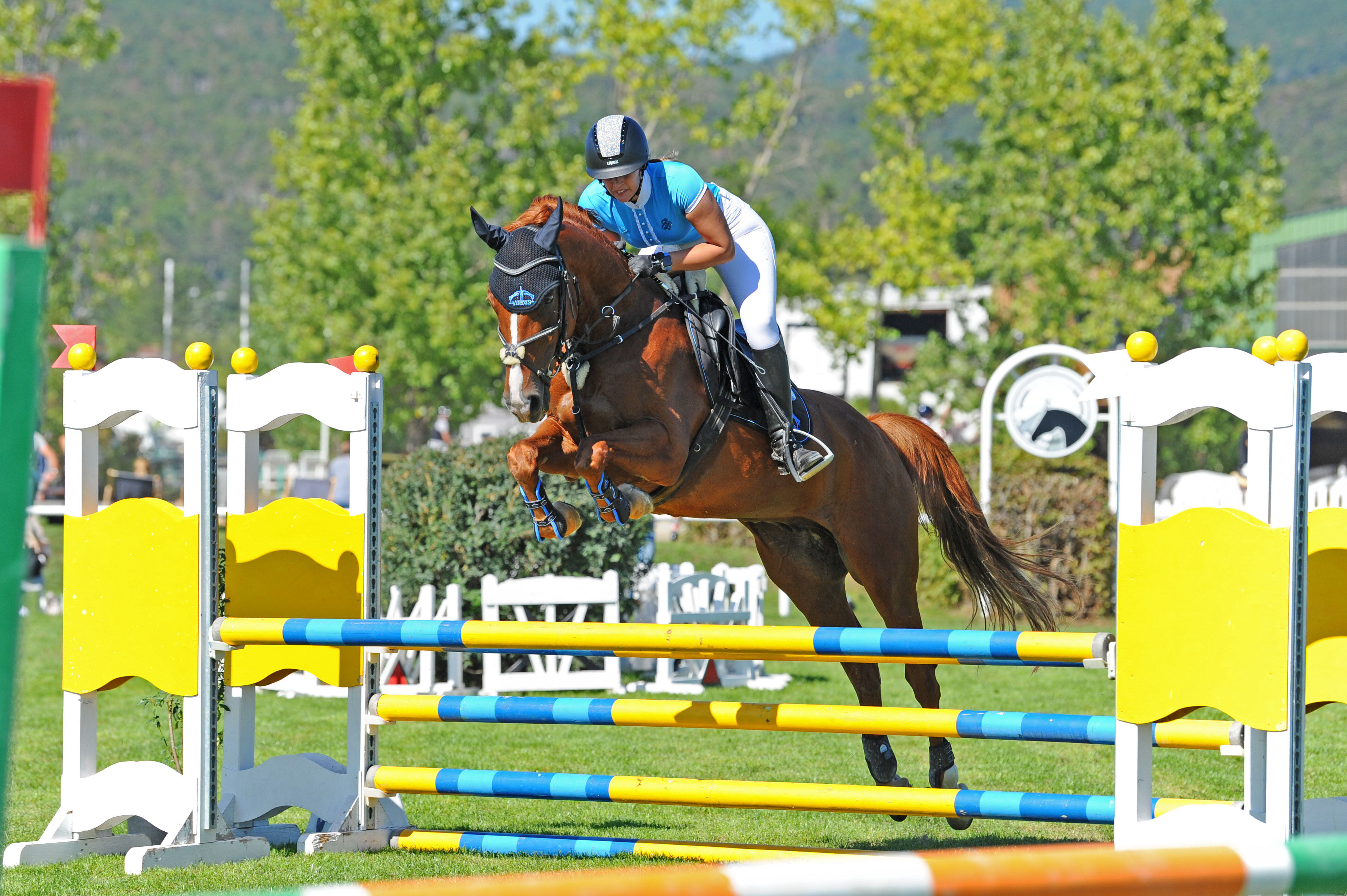 "Mein Lieblingsfoto von meinem Herzenspferd Lui und mir bei unserem ersten 95er Springen mit R1 Wertung in Bad Fischau."