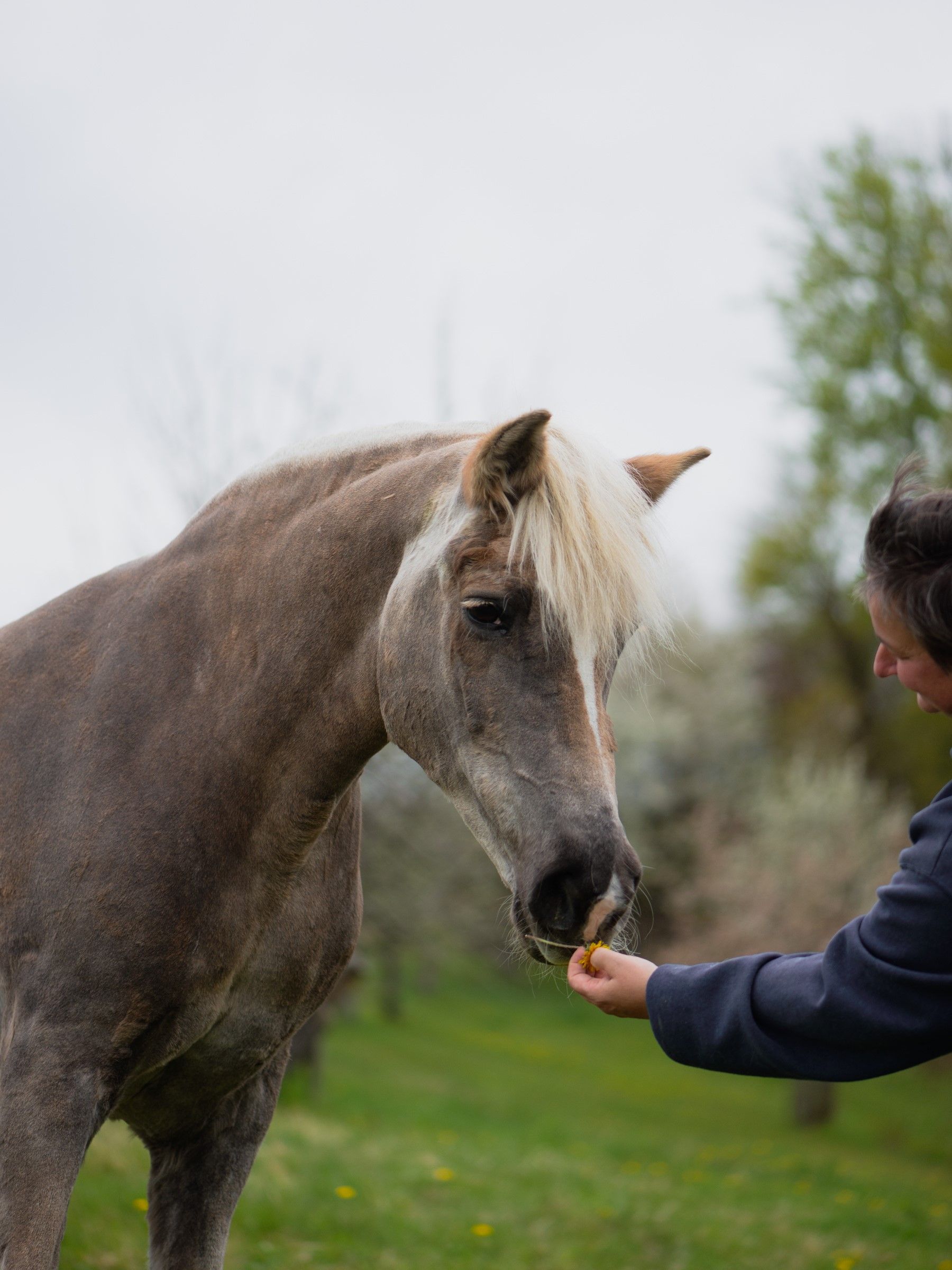 "33 gemeinsame Jahre, zu Ostern und frisch geschoren, zu ihrem besten Wohlbefinden."