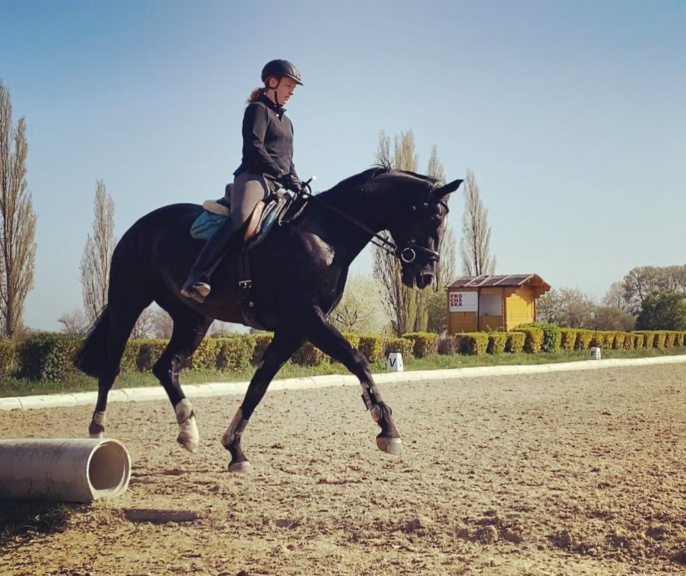 Ann-Cathrin Feith schafft mit ihrer Plattform "Reit mit!" einen Treffpunkt für Pferde-Liebhaber im Rahmen von Reit- und Pflegebeteiligungen. (Bild: Ann-Cathrin Feith)