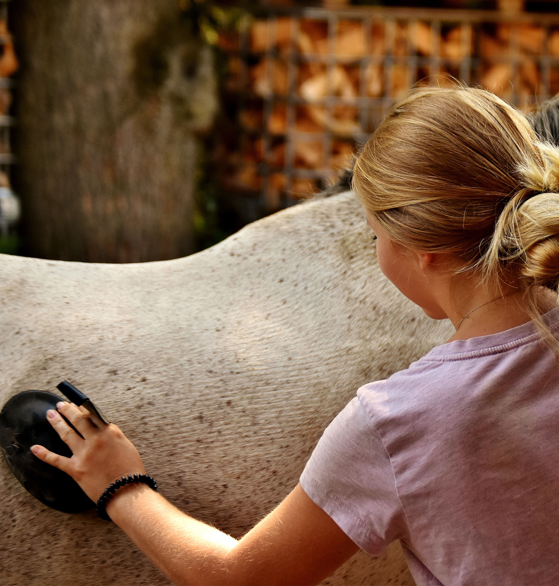 Die Basics eines Putzkoffers sind für eine grundlegende Fellpflege notwendig.