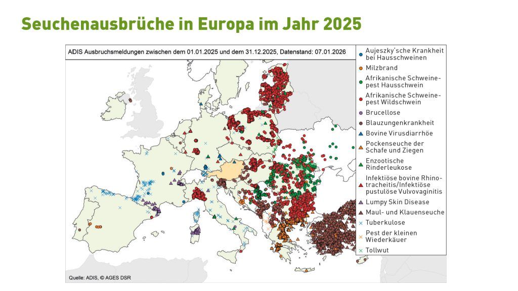 Europa-Karte mit ADIS-Ausbruchsmeldungen für Tierseuchen im Jahr 2025. Die Meldungen sind als farbige Symbole nach Seuchenart dargestellt und häufen sich besonders in Ost- und Südosteuropa.