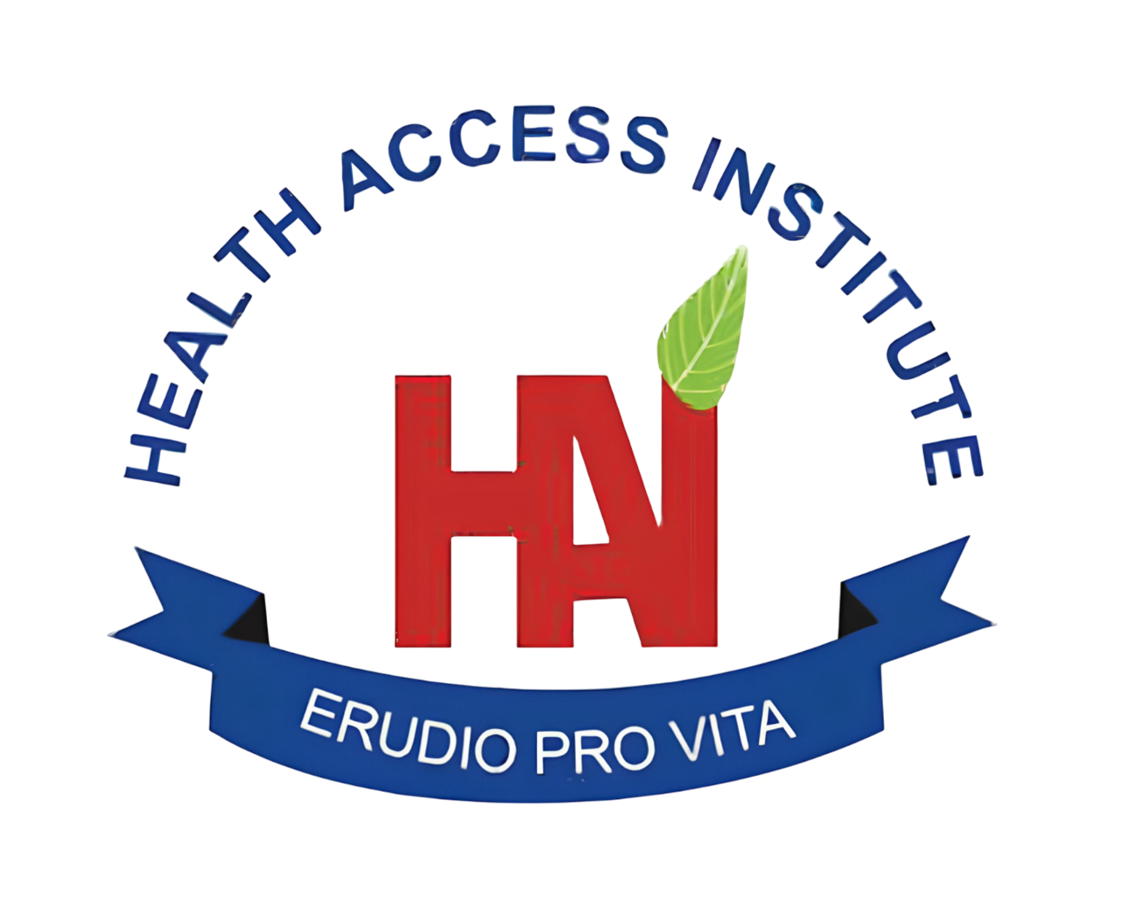Health Access Institute Logo