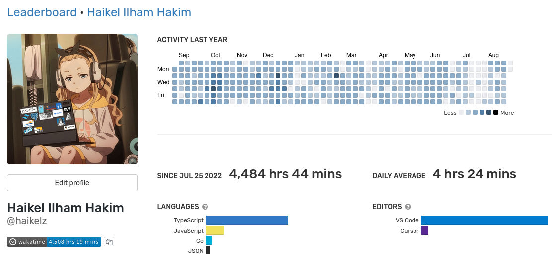 Wakatime stats