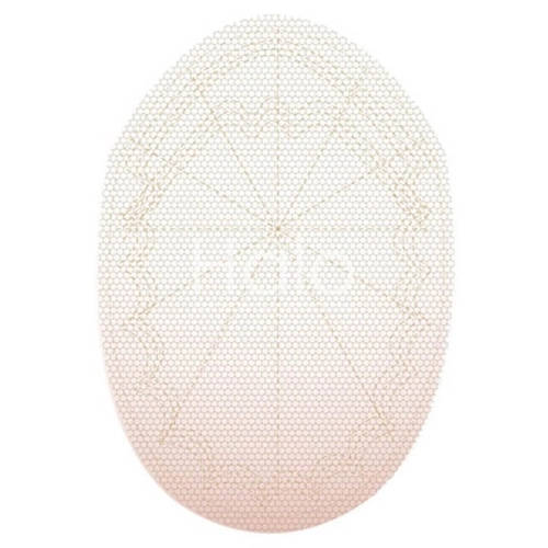 Full French Lace Hair System – Ultra-Lightweight | Breathable | Undetectable | Natural-Looking 4