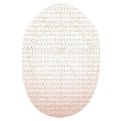 Full French Lace Hair System – Ultra-Lightweight | Breathable | Undetectable | Natural-Looking thumbnail 4
