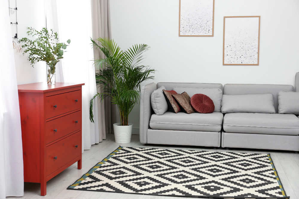 Rugs To Define Space