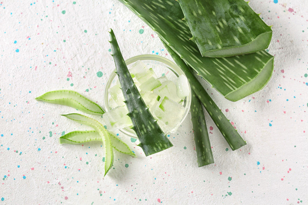 Aloe Vera Hair Benefits 23