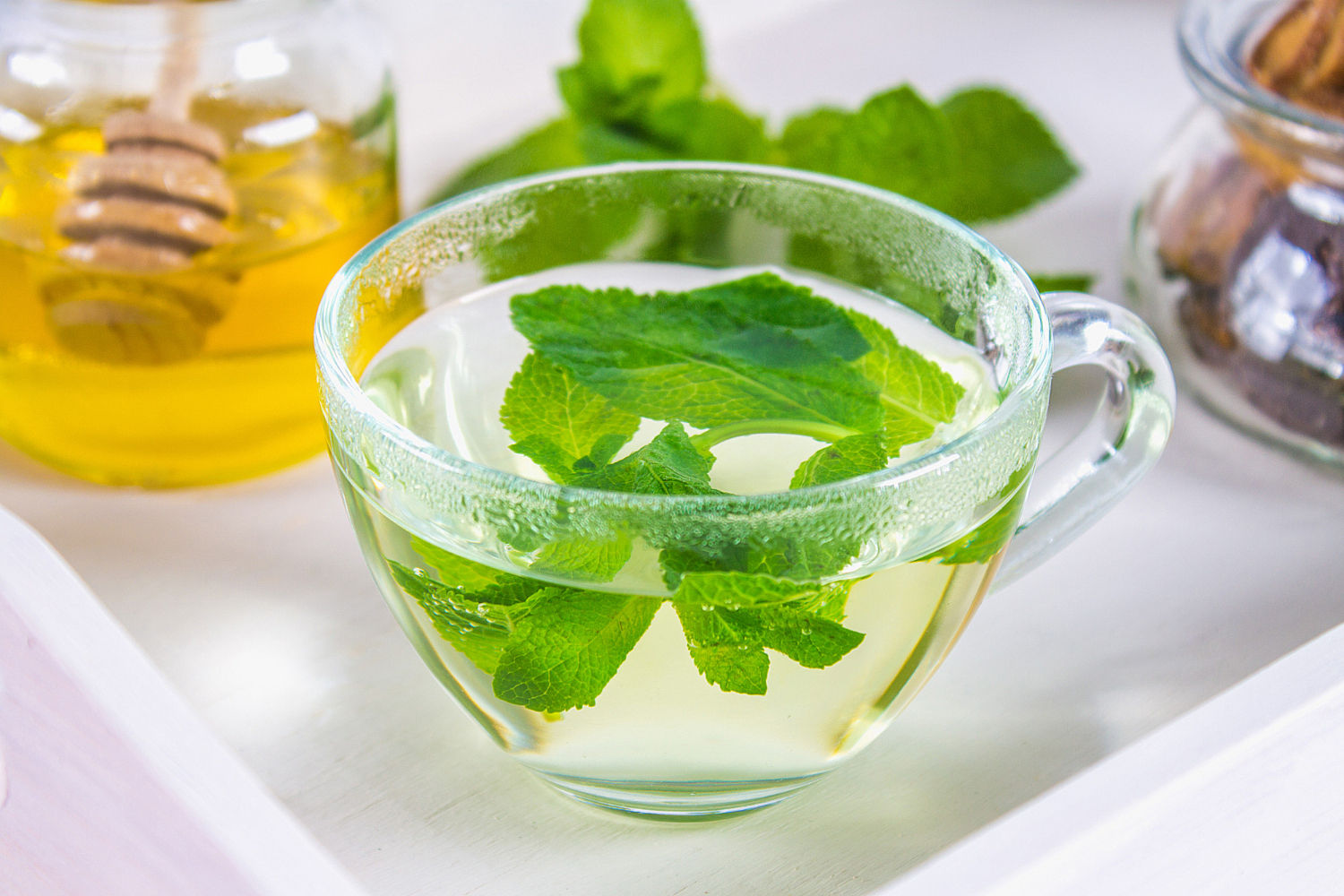 How To Make Lemon Balm 2
