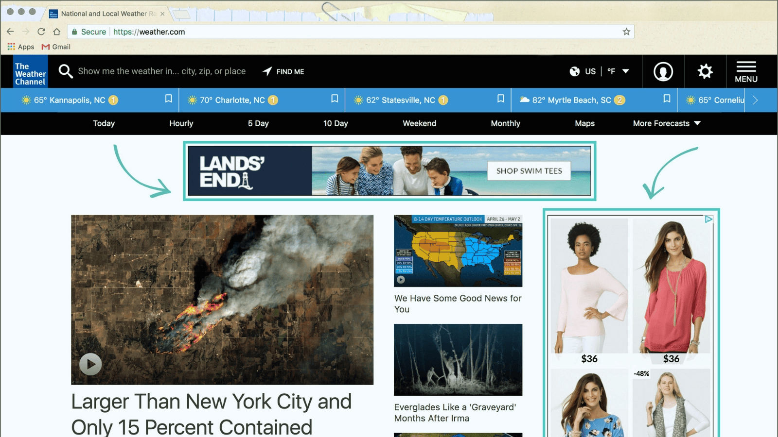 Website showing banner and sidebar display ads