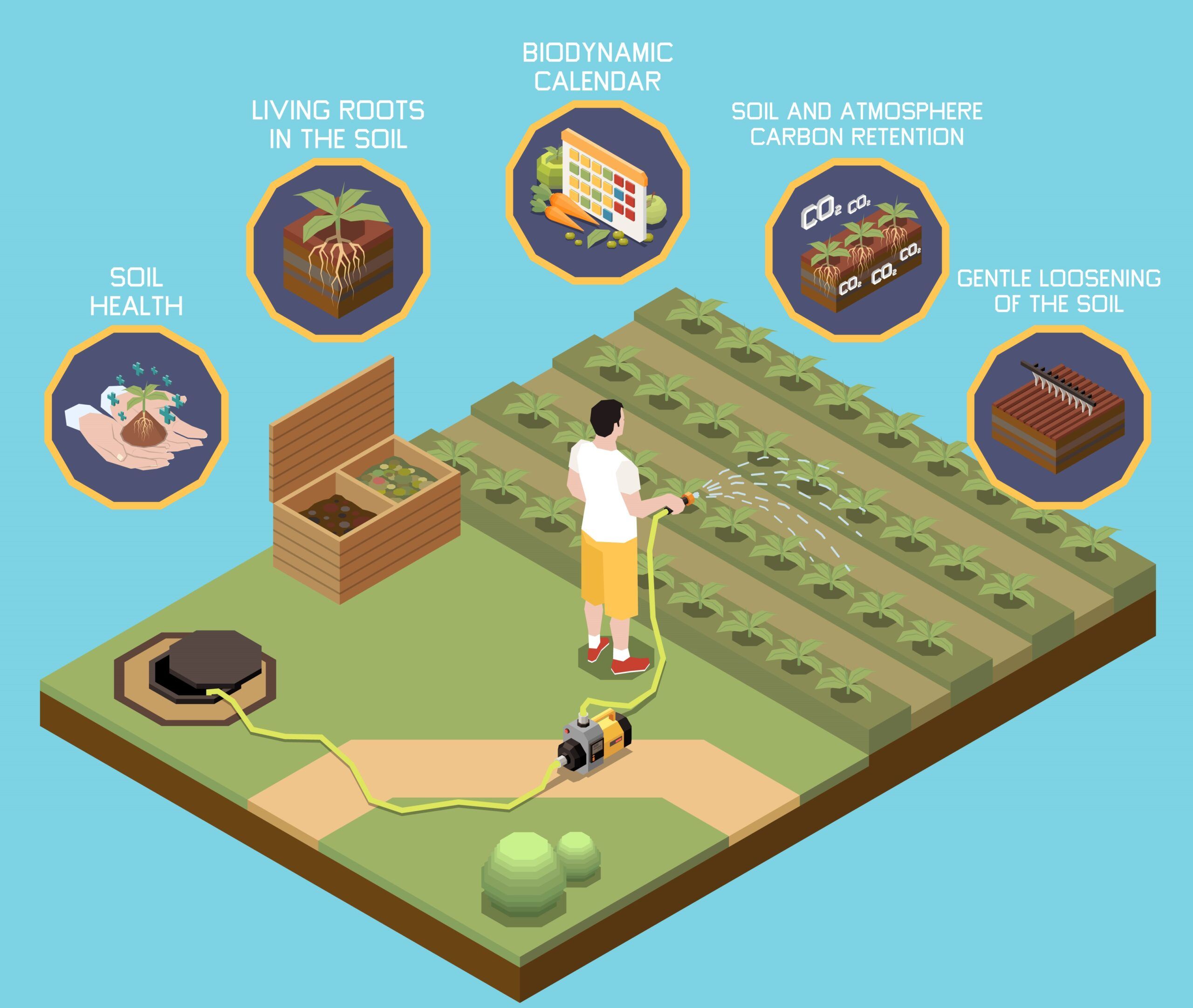 Plan For Vegetable Garden 2 Scaled