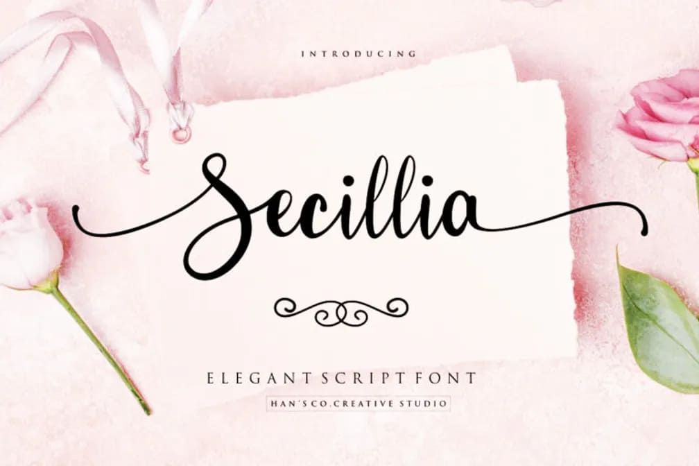 41. Secillia