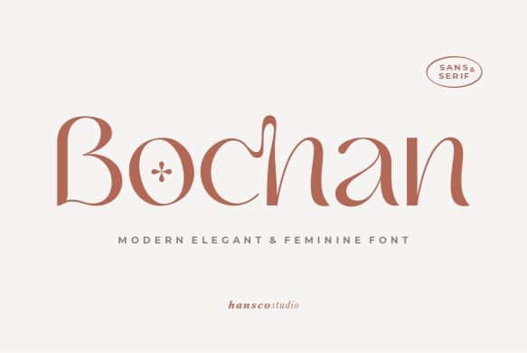 Bochan Demo