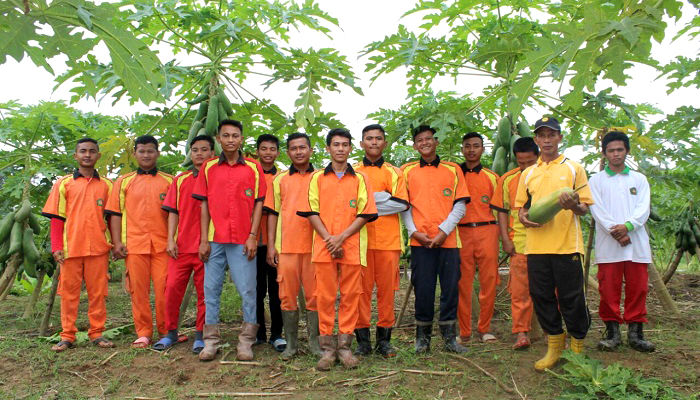 ayep zaki, kampung binaan ayep zaki, kampung percontohan, kampung teladan, petani teladan, kampung seberang air molek, seberang air molek, kampung riau, kampung maju, kampung petani sukses, nusantaranews