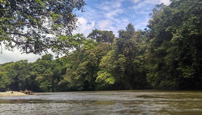 Salah satu pemandangan alam di Kalimantan Barat (Kalbar). (Foto: Ilustrasi/NUSANTARANEWS.CO/Eriec Dieda)