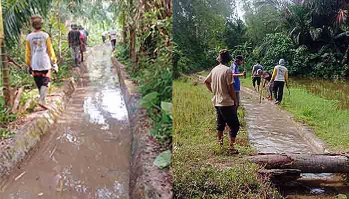 Kegiatan Gotong Royong Warga Gampong Alue Buloh Sa