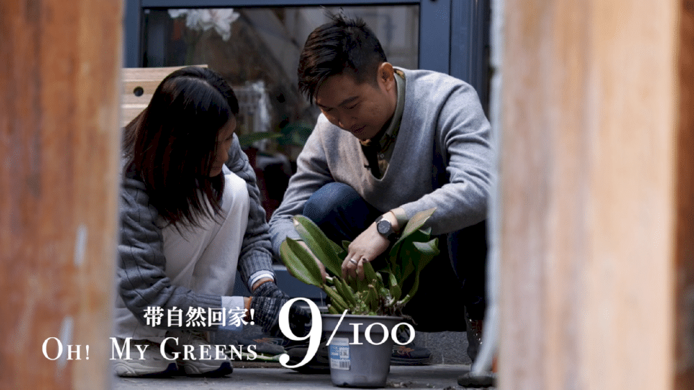 13908 oh my greens ep 9 selamat tinggal taman atap hutong beijing