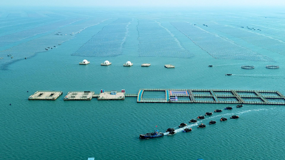 14394 produksi ekonomi maritim tiongkok naik 56 persen pada semester pertama kata kementerian