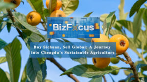 BizFocus Ep.106: Beli Sichuan, jual global