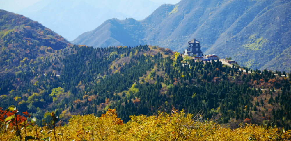 lihat-dedaunan-musim-gugur-yang-spektakuler-di-tempat-tempat-ini-di-beijing
