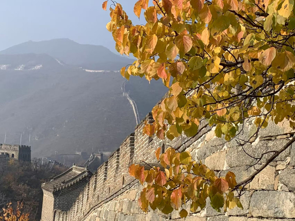 yang-terbaik-dari-beijing-dalam-foto-pembaca:-warna-musim-gugur