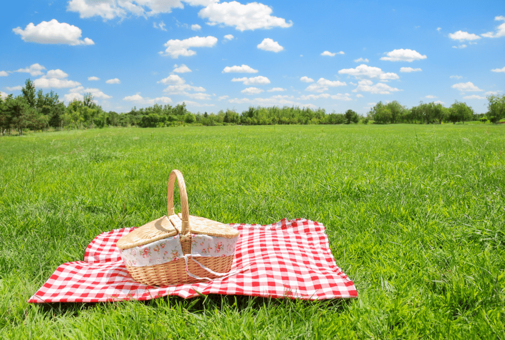 taobao-picnic-must-haves-untuk-perfect-beijing-outings