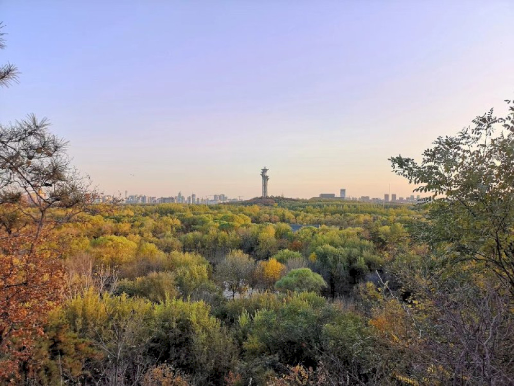 menghirup-udara-segar-di-hutan-beijing